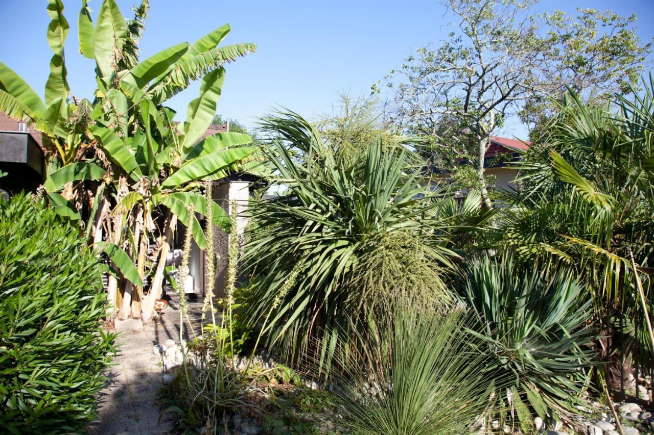 Villa Margaux Fargues-Saint-Hilaire Exterior photo